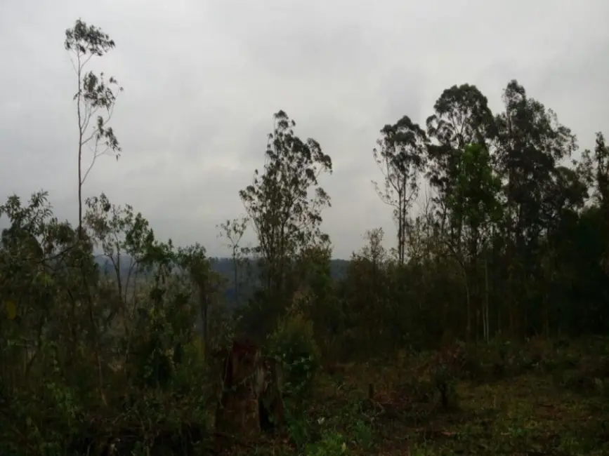 Foto 9 de Terreno / Lote à venda, 22855m2 em Jundiaí Mirim, Jundiai - SP