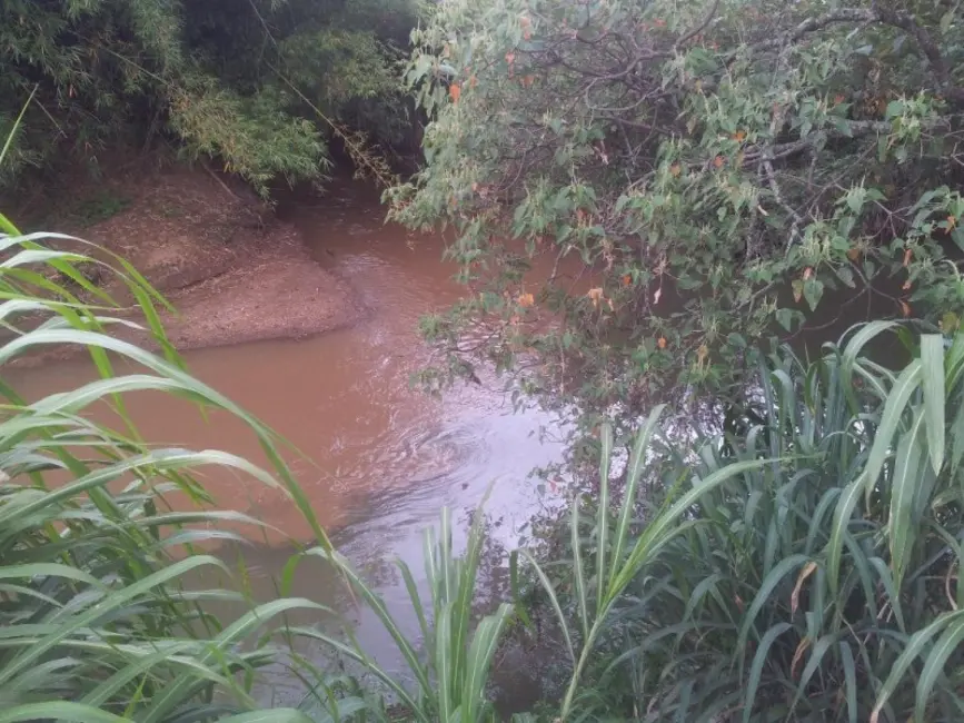 Chácara com 3 quartos à venda, 200m2 em Macuco, Valinhos - SP - imagem 9 Foto 9 de Chácara com 3 quartos à venda, 200m2 em Macuco, Valinhos - SP
