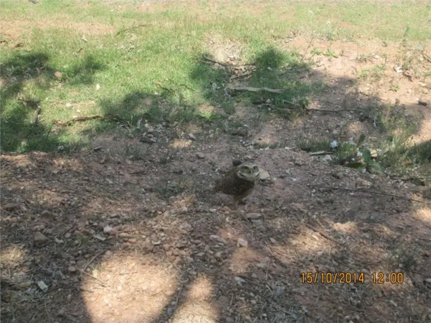 Foto 4 de Terreno / Lote à venda, 12500m2 em Poste, Jundiai - SP