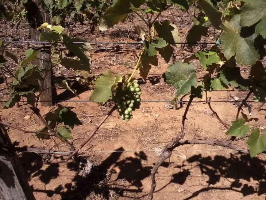 Foto 7 de Terreno / Lote à venda, 36300m2 em Medeiros, Jundiai - SP