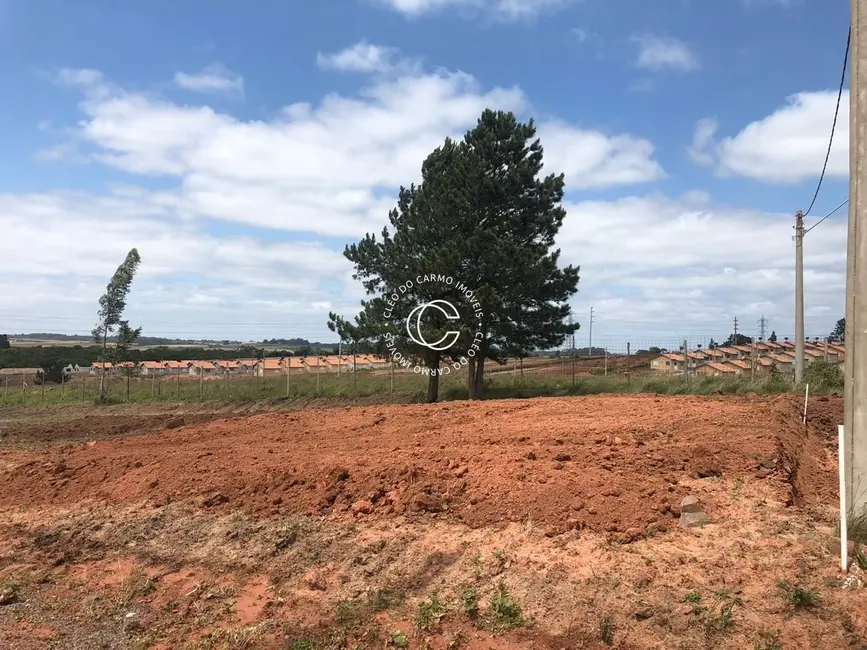 Foto 2 de Terreno / Lote à venda, 290m2 em Tomazetti, Santa Maria - RS