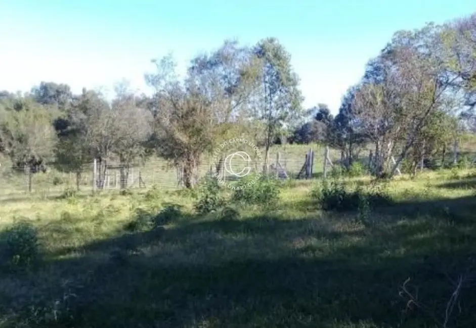Foto 5 de Terreno / Lote à venda, 3000m2 em Itaara - RS
