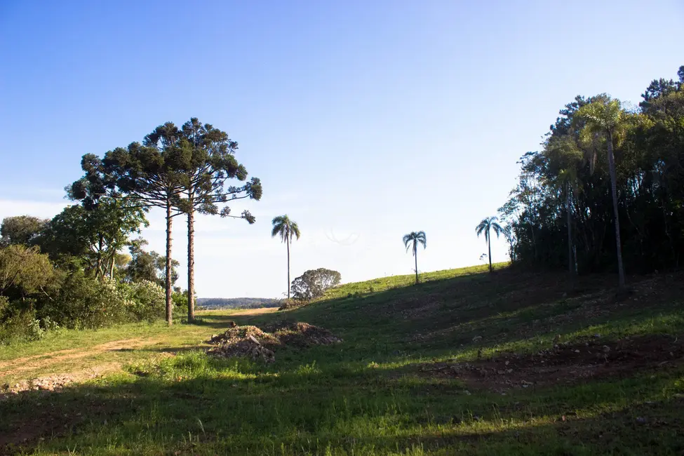 Terreno / Lote à venda, 556m2 em Centro, Itaara - RS - imagem 9 Foto 9 de Terreno / Lote à venda, 556m2 em Centro, Itaara - RS