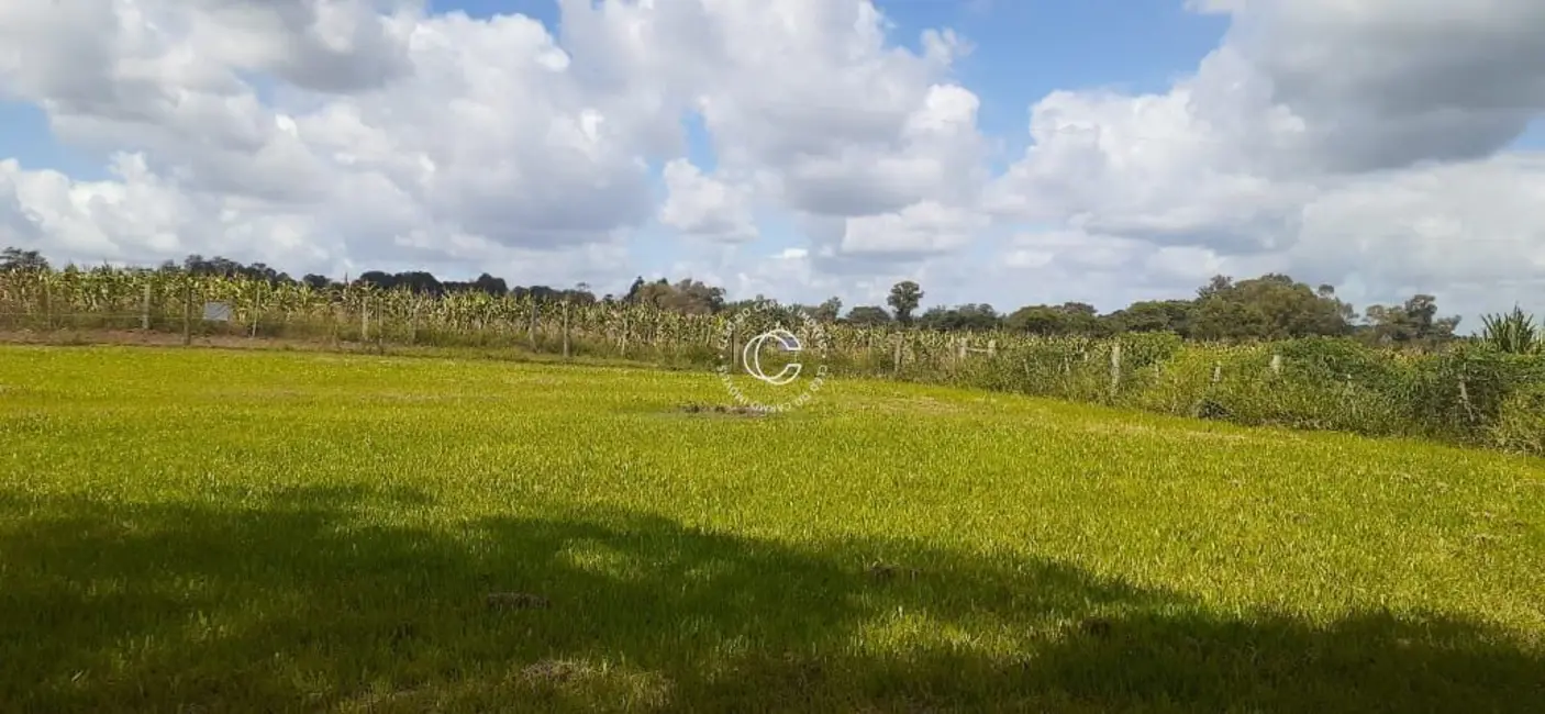 Foto 2 de Chácara à venda em Santa Maria - RS