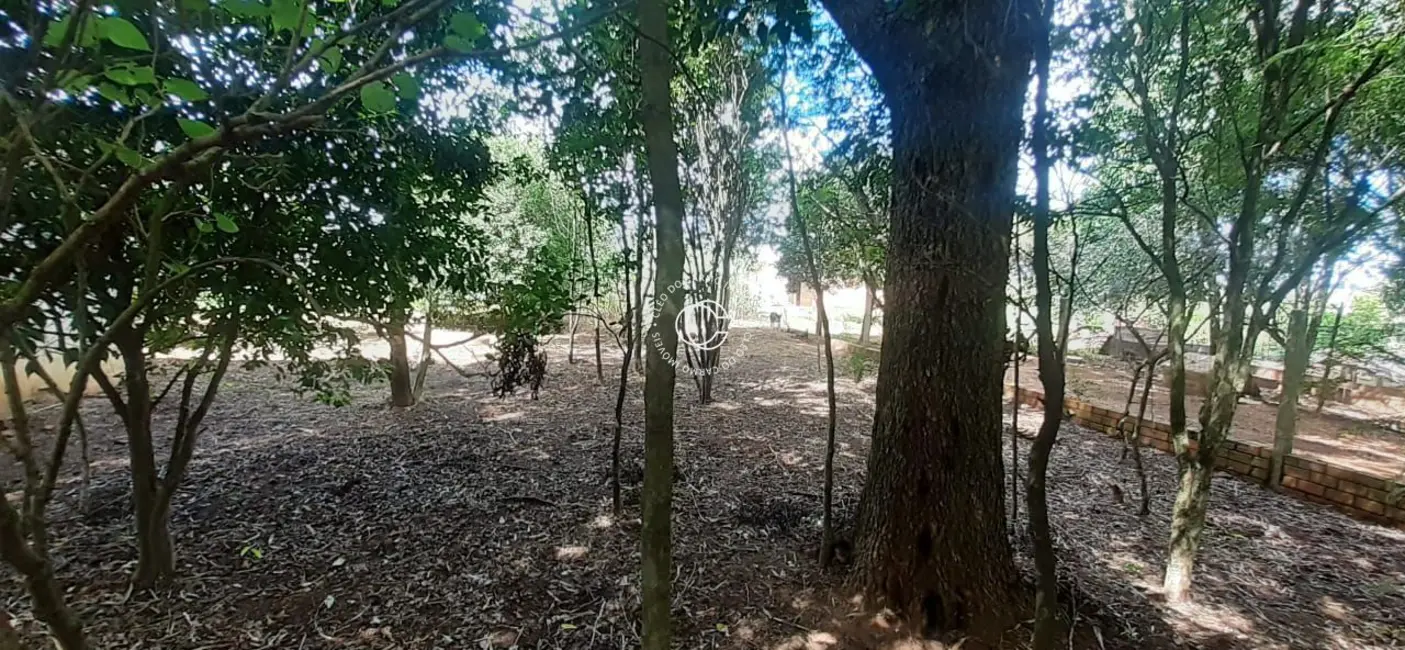 Foto 11 de Chácara à venda em Santa Maria - RS