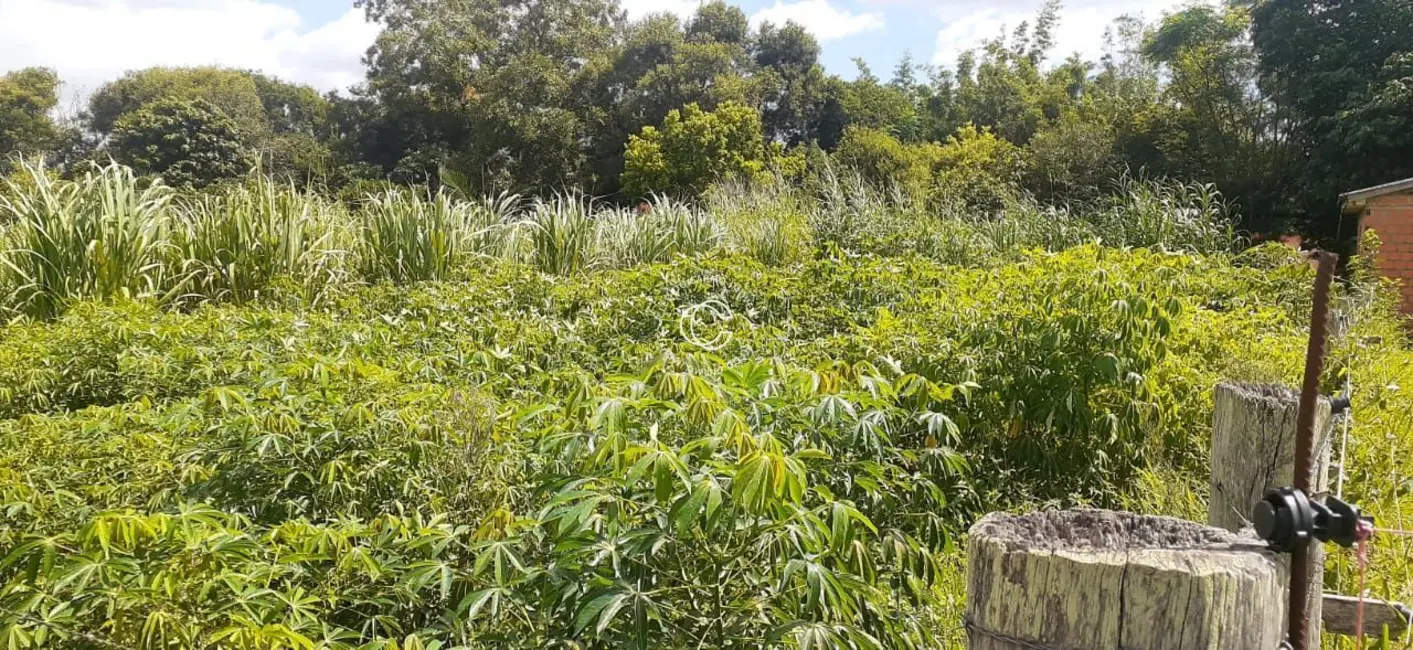 Foto 5 de Chácara à venda em Santa Maria - RS