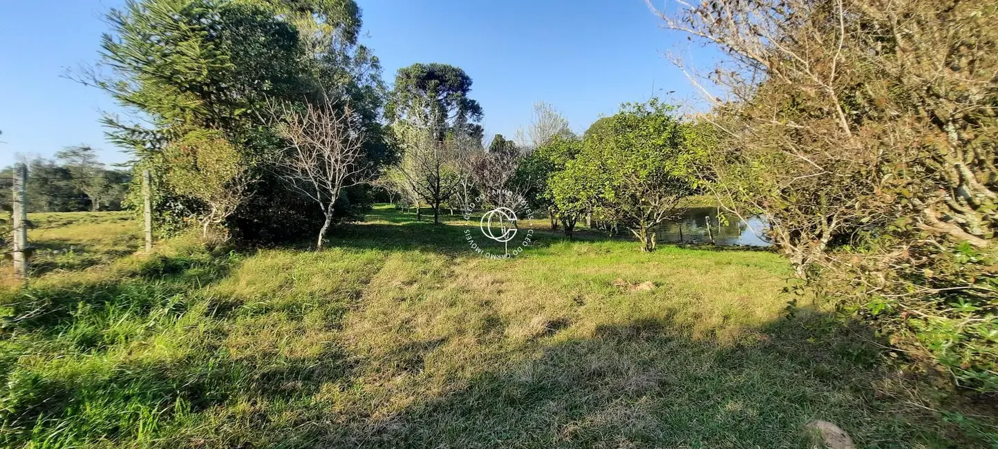 Chácara com 3 quartos à venda, 17200m2 em Itaara - RS - imagem 6 Foto 6 de Chácara com 3 quartos à venda, 17200m2 em Itaara - RS