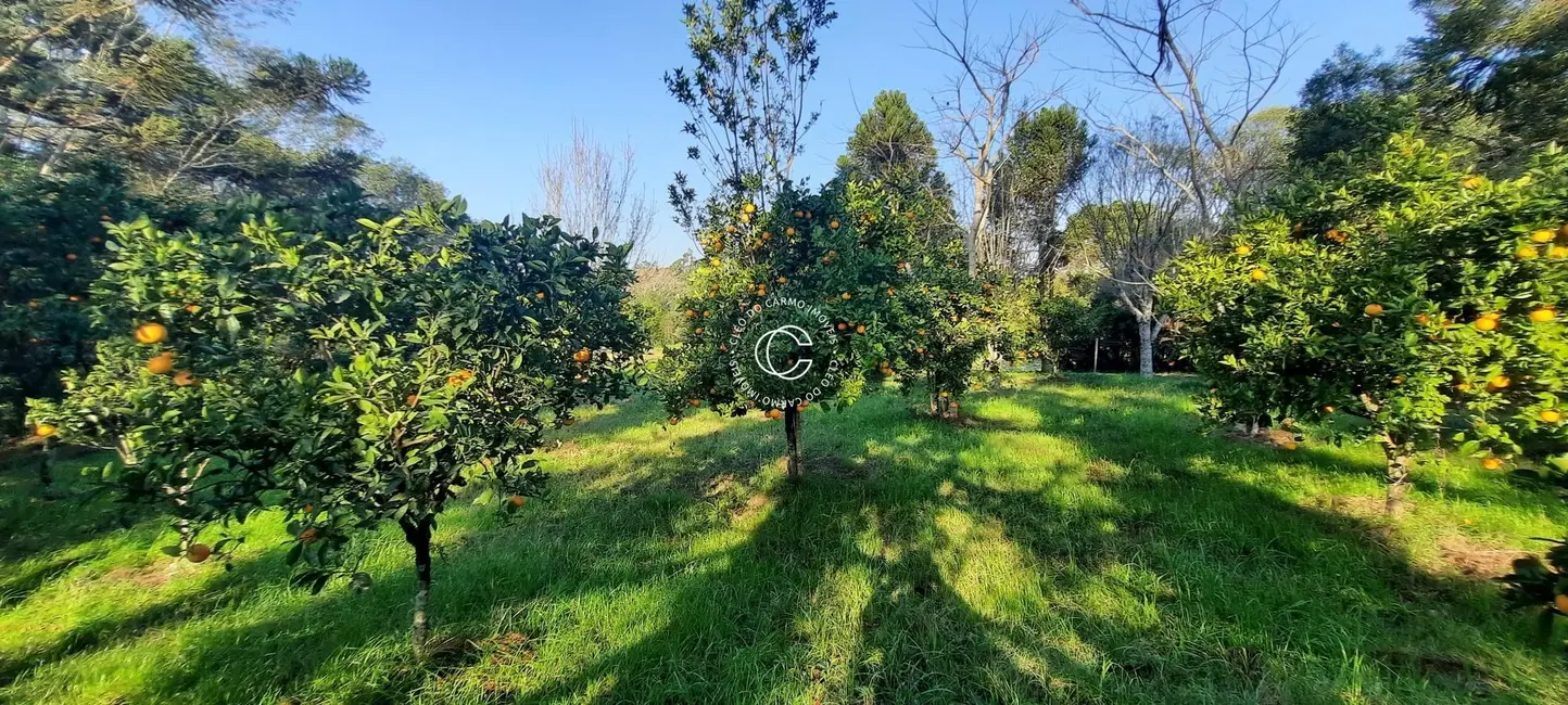 Chácara com 3 quartos à venda, 17200m2 em Itaara - RS - imagem 7 Foto 7 de Chácara com 3 quartos à venda, 17200m2 em Itaara - RS