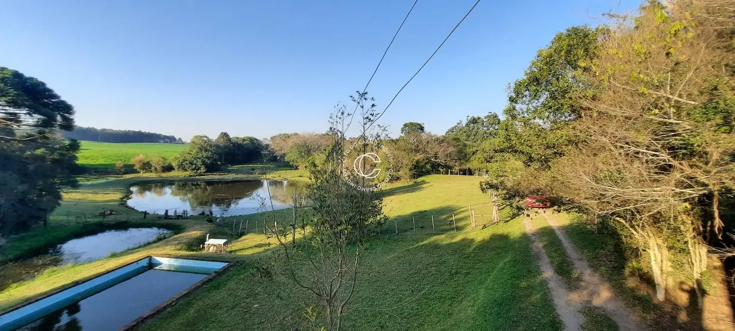 Chácara com 3 quartos à venda, 17200m2 em Itaara - RS - imagem 5 Foto 5 de Chácara com 3 quartos à venda, 17200m2 em Itaara - RS