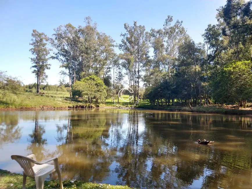 Chácara com 4 quartos à venda, 30000m2 em Itaara - RS - imagem 7 Foto 7 de Chácara com 4 quartos à venda, 30000m2 em Itaara - RS