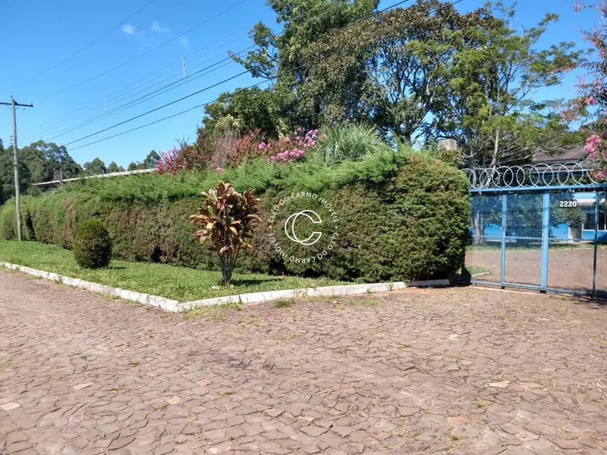 Chácara com 4 quartos à venda, 30000m2 em Itaara - RS - imagem 9 Foto 9 de Chácara com 4 quartos à venda, 30000m2 em Itaara - RS