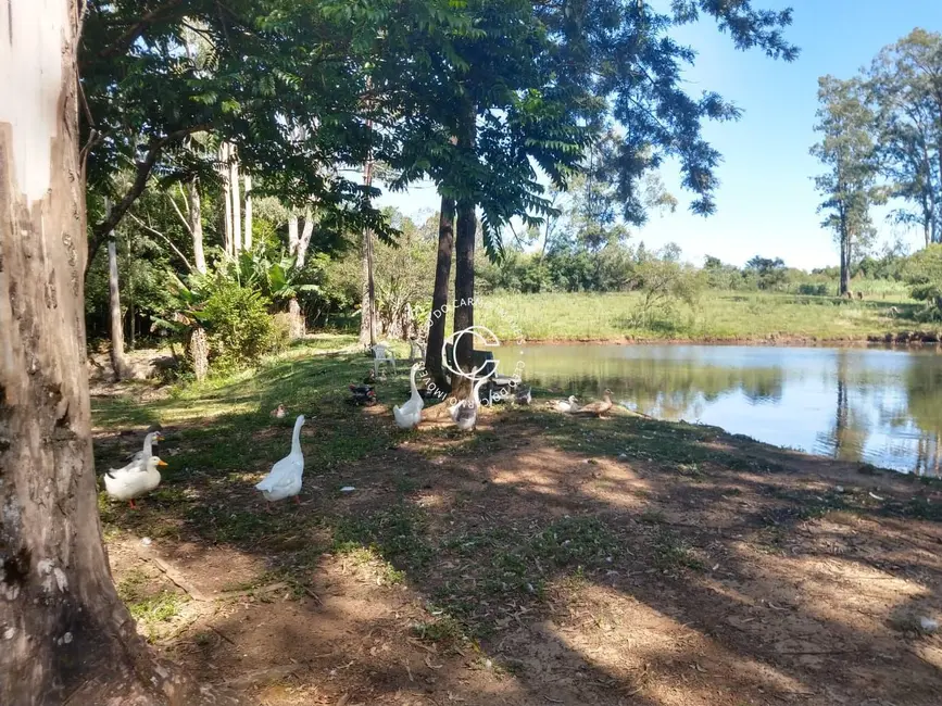Chácara com 4 quartos à venda, 30000m2 em Itaara - RS - imagem 8 Foto 8 de Chácara com 4 quartos à venda, 30000m2 em Itaara - RS