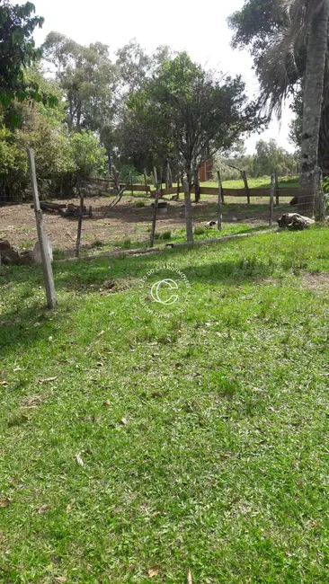 Chácara com 4 quartos à venda, 25000m2 em Cacequi - RS - imagem 7 Foto 7 de Chácara com 4 quartos à venda, 25000m2 em Cacequi - RS