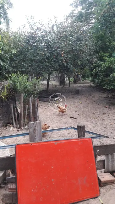 Chácara com 4 quartos à venda, 25000m2 em Cacequi - RS - imagem 3 Foto 3 de Chácara com 4 quartos à venda, 25000m2 em Cacequi - RS