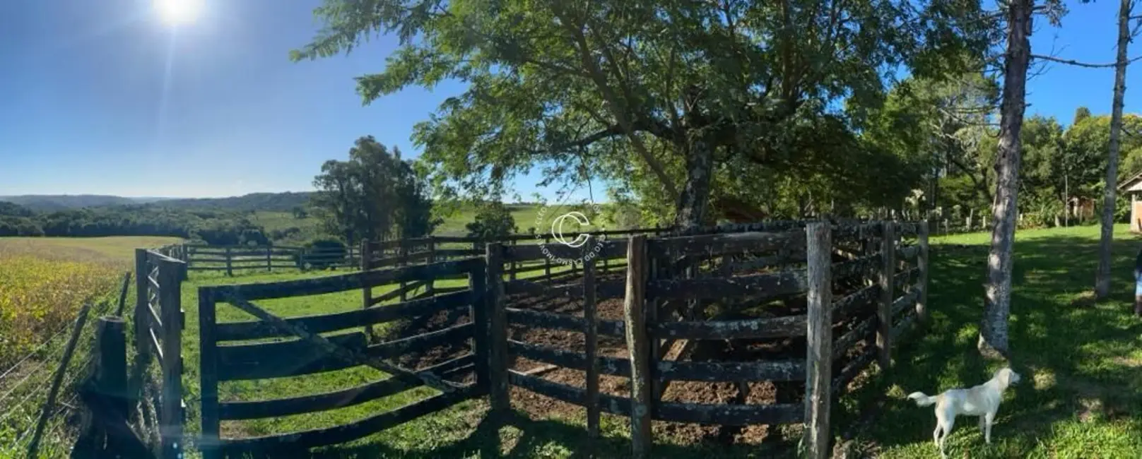 Fazenda / Haras à venda, 400000m2 em Itaara - RS - imagem 7 Foto 7 de Fazenda / Haras à venda, 400000m2 em Itaara - RS