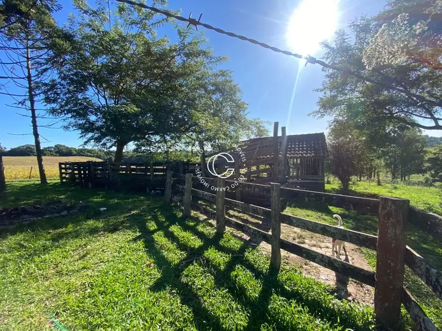 Fazenda / Haras à venda, 400000m2 em Itaara - RS - imagem 5 Foto 5 de Fazenda / Haras à venda, 400000m2 em Itaara - RS
