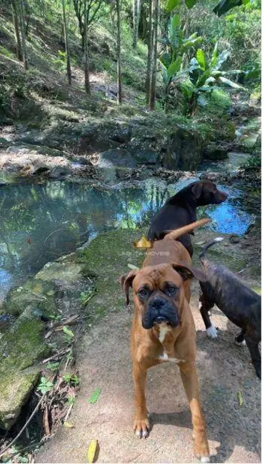 Foto 9 de Sítio / Rancho com 4 quartos à venda, 20000m2 em Andradas - MG