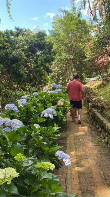 Foto 8 de Sítio / Rancho com 4 quartos à venda, 20000m2 em Andradas - MG