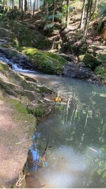 Foto 7 de Sítio / Rancho com 4 quartos à venda, 20000m2 em Andradas - MG