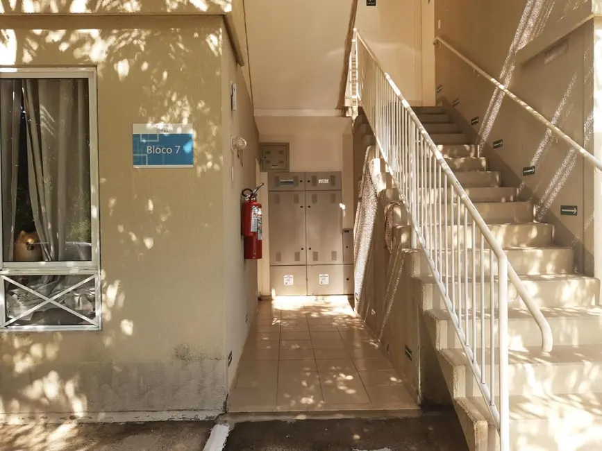 Foto 7 de Apartamento com 2 quartos à venda, 43m2 em Parque Yolanda (Nova Veneza), Sumare - SP