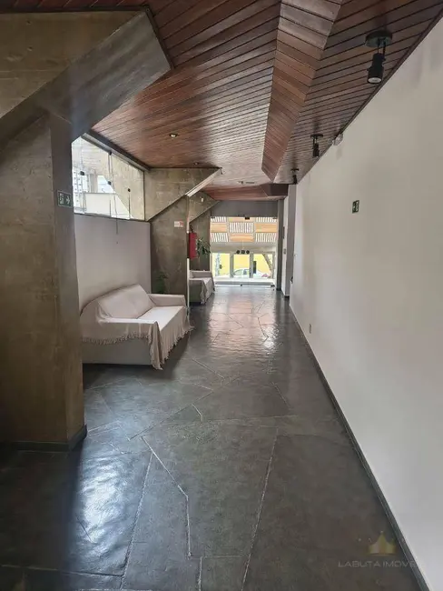 Apartamento com 3 quartos à venda, 179m2 em Cambuí, Campinas - SP - imagem 7 Foto 7 de Apartamento com 3 quartos à venda, 179m2 em Cambuí, Campinas - SP