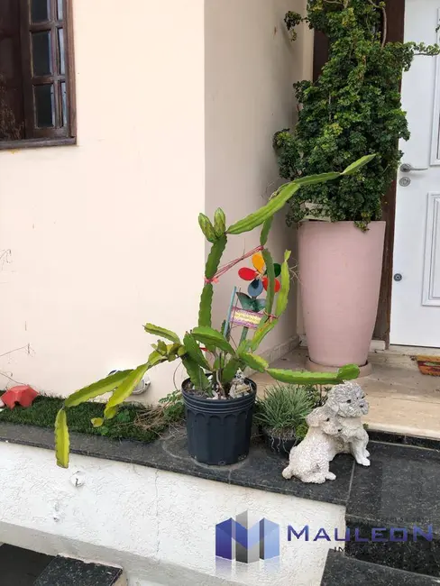 Foto 3 de Sobrado com 4 quartos à venda e para alugar, 350m2 em Planalto Paulista, São Paulo - SP