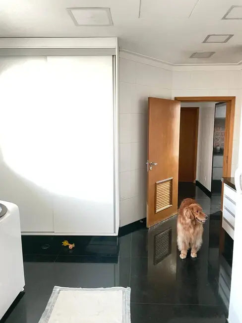 Foto 8 de Apartamento com 3 quartos para alugar, 335m2 em Jardim Anália Franco, São Paulo - SP