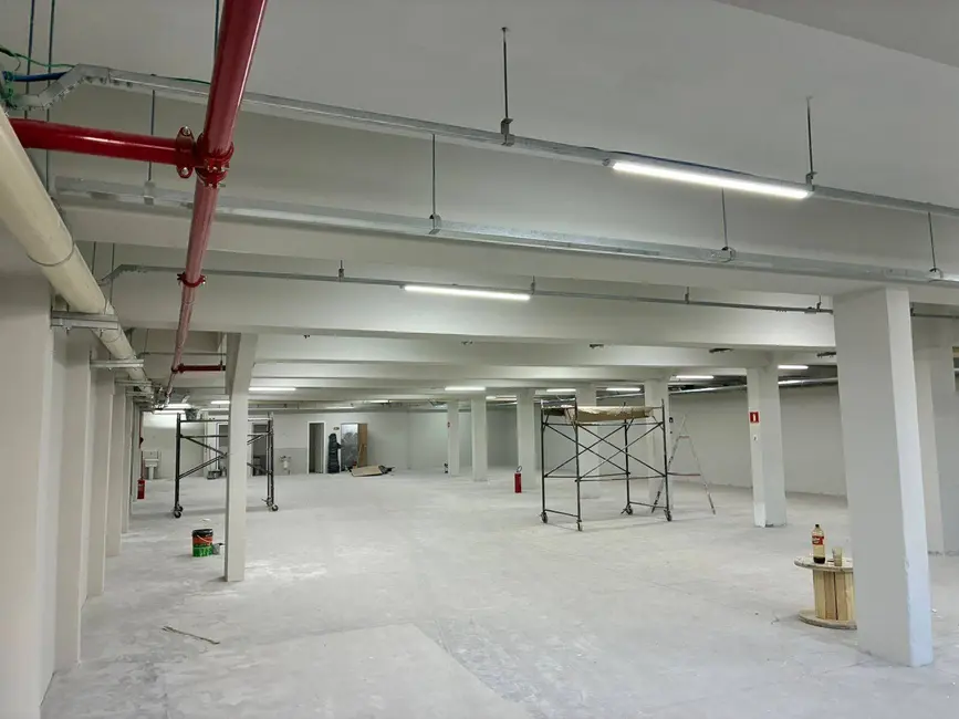 Foto 3 de Armazém / Galpão à venda e para alugar, 4200m2 em Cambuci, São Paulo - SP