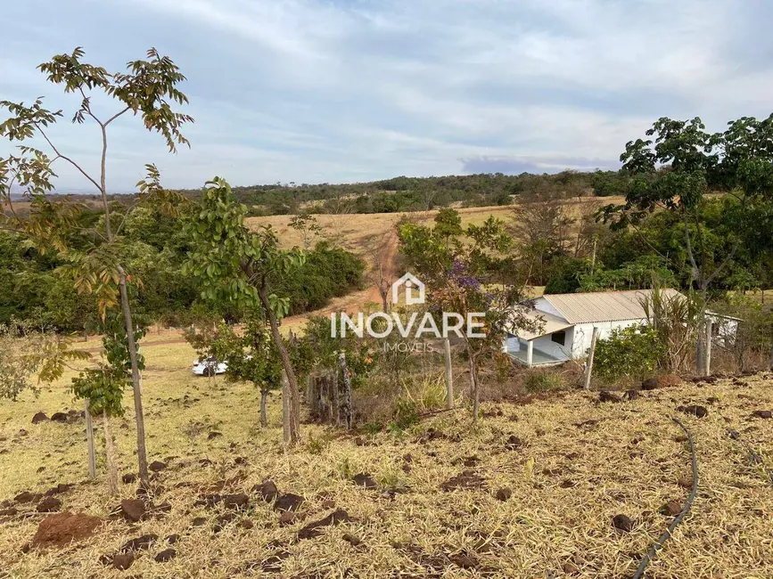 Foto 3 de Chácara com 3 quartos à venda, 35000m2 em Panama - GO