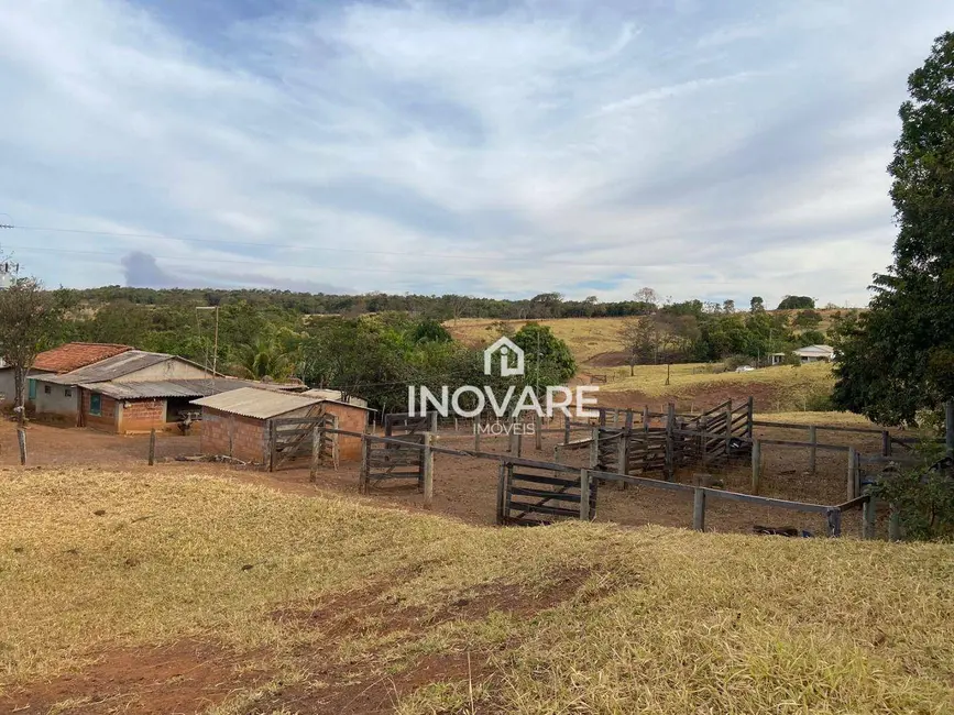 Foto 4 de Chácara com 3 quartos à venda, 35000m2 em Panama - GO