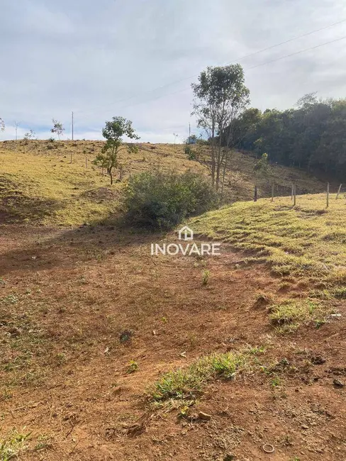 Foto 9 de Chácara com 3 quartos à venda, 35000m2 em Panama - GO