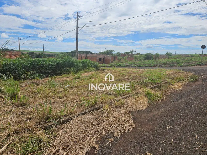 Terreno / Lote à venda, 298m2 em Arapora - MG - imagem 3 Foto 3 de Terreno / Lote à venda, 298m2 em Arapora - MG