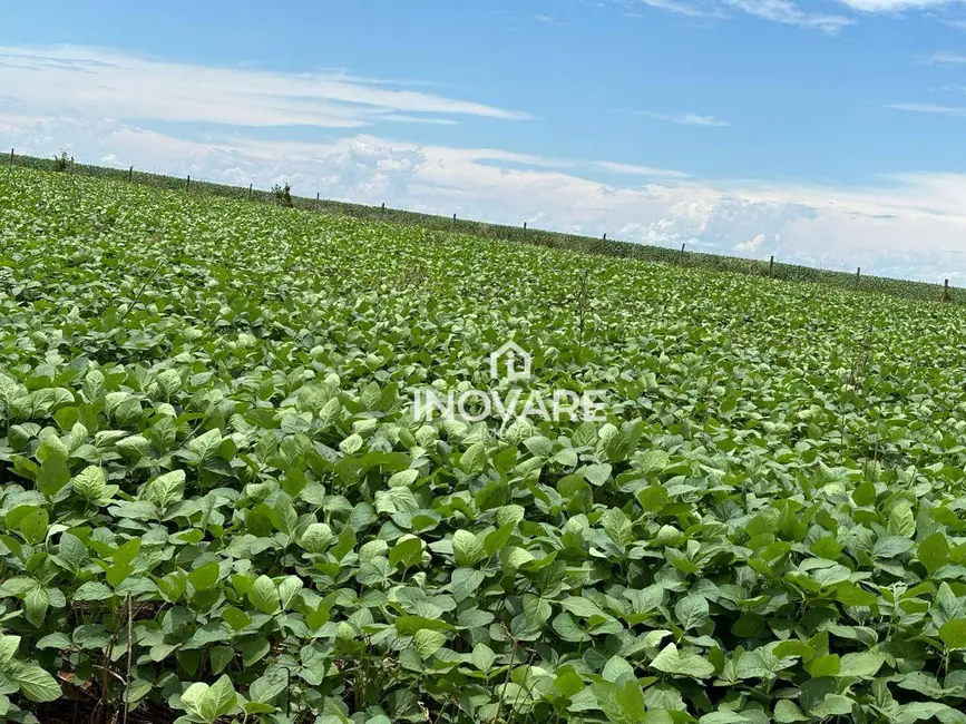 Fazenda / Haras à venda, 10000m2 em Setor Central, Corumbaiba - GO - imagem 3 Foto 3 de Fazenda / Haras à venda, 10000m2 em Setor Central, Corumbaiba - GO