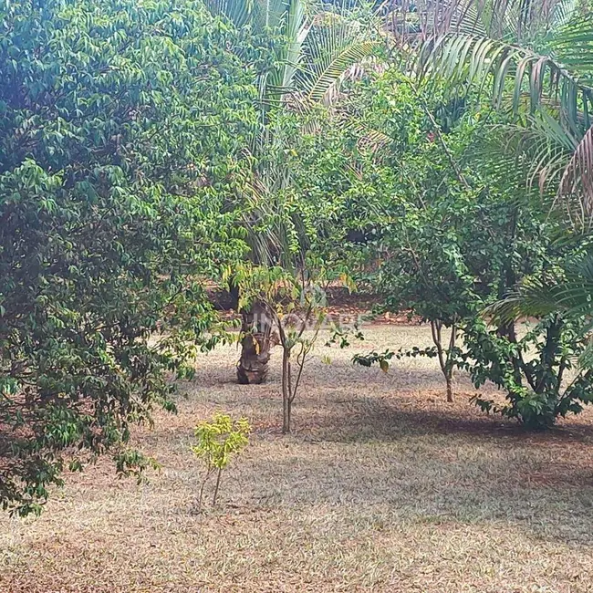 Sítio / Rancho com 2 quartos à venda, 4300m2 em Jardim Morumbi, Itumbiara - GO - imagem 3 Foto 3 de Sítio / Rancho com 2 quartos à venda, 4300m2 em Jardim Morumbi, Itumbiara - GO