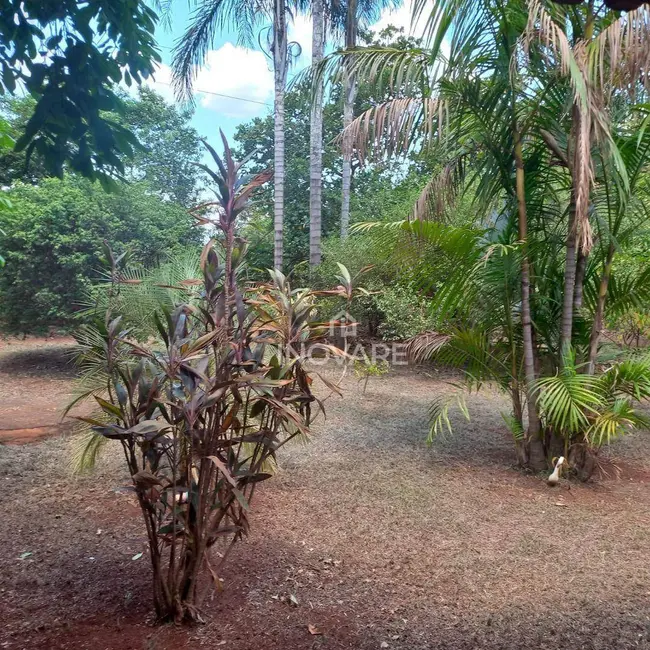 Foto 2 de Sítio / Rancho com 2 quartos à venda, 4300m2 em Jardim Morumbi, Itumbiara - GO