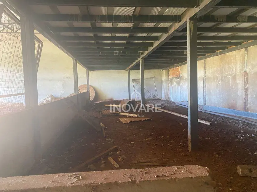 Armazém / Galpão para alugar, 260m2 em Itumbiara - GO - imagem 6 Foto 6 de Armazém / Galpão para alugar, 260m2 em Itumbiara - GO