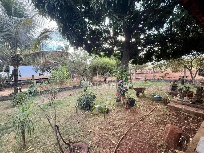 Chácara com 4 quartos à venda, 5000m2 em Itumbiara - GO - imagem 5 Foto 5 de Chácara com 4 quartos à venda, 5000m2 em Itumbiara - GO