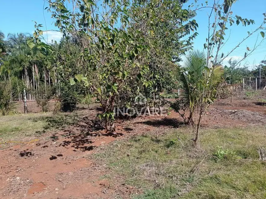 Terreno / Lote à venda, 1000m2 em Jardim Morumbi, Itumbiara - GO - imagem 4 Foto 4 de Terreno / Lote à venda, 1000m2 em Jardim Morumbi, Itumbiara - GO