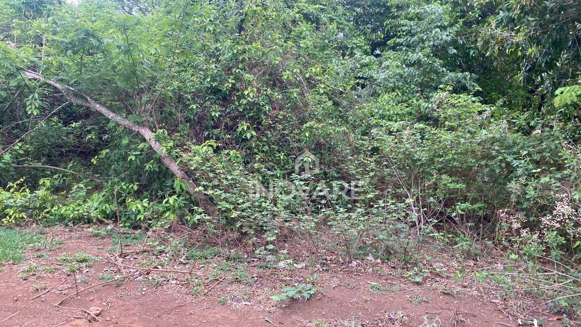 Foto 38 de Chácara à venda, 290400m2 em Itumbiara - GO