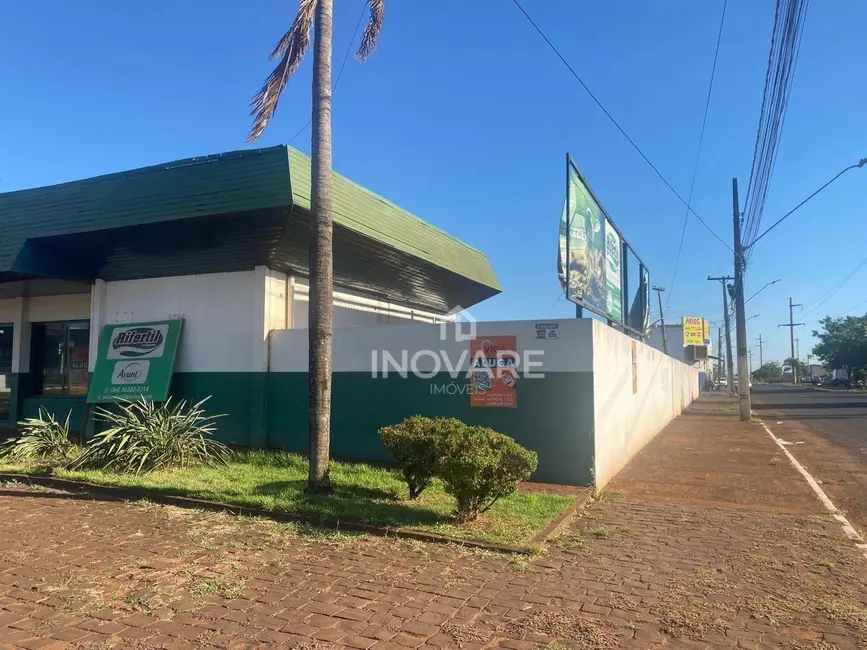 Armazém / Galpão para alugar, 3000m2 em Itumbiara - GO - imagem 3 Foto 3 de Armazém / Galpão para alugar, 3000m2 em Itumbiara - GO