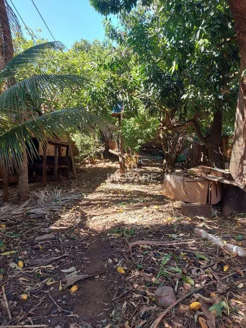 Foto 5 de Sala Comercial à venda, 725m2 em Alto da Boa Vista, Itumbiara - GO