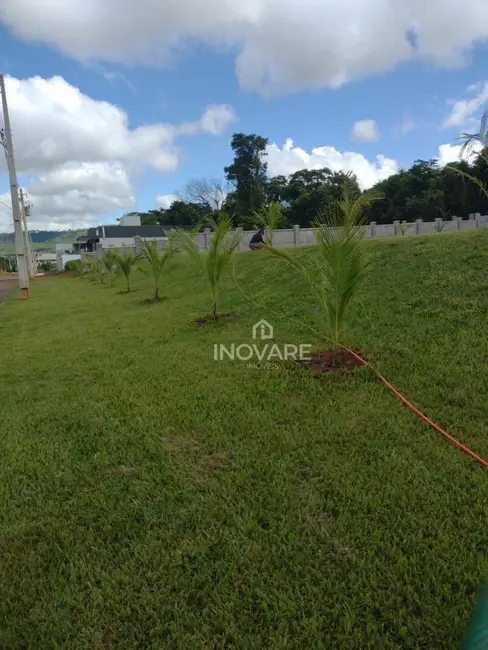 Foto 3 de Terreno / Lote à venda, 750m2 em Buriti Alegre - GO
