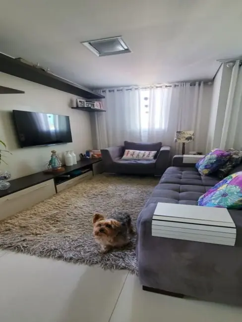 Foto 7 de Apartamento com 3 quartos à venda, 74m2 em Vila Matilde, São Paulo - SP