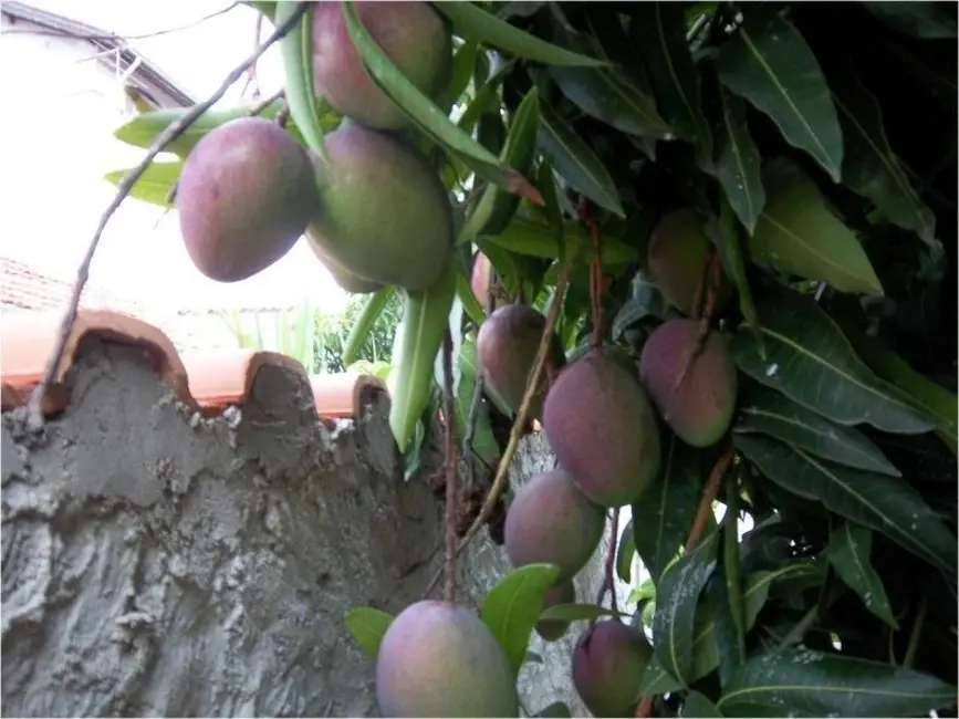 Foto 9 de Casa com 2 quartos à venda, 150m2 em Vila Industrial, São Paulo - SP