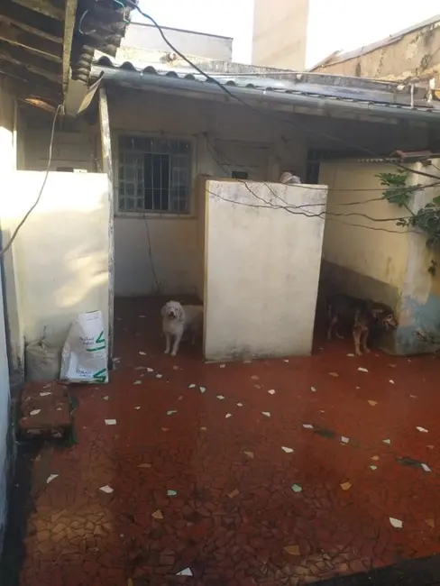 Foto 6 de Casa com 3 quartos à venda, 260m2 em Itaim Paulista, São Paulo - SP