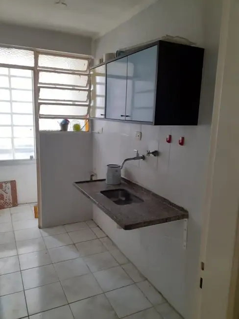 Foto 4 de Apartamento com 1 quarto para alugar, 40m2 em Parque Santa Cecília, São Paulo - SP