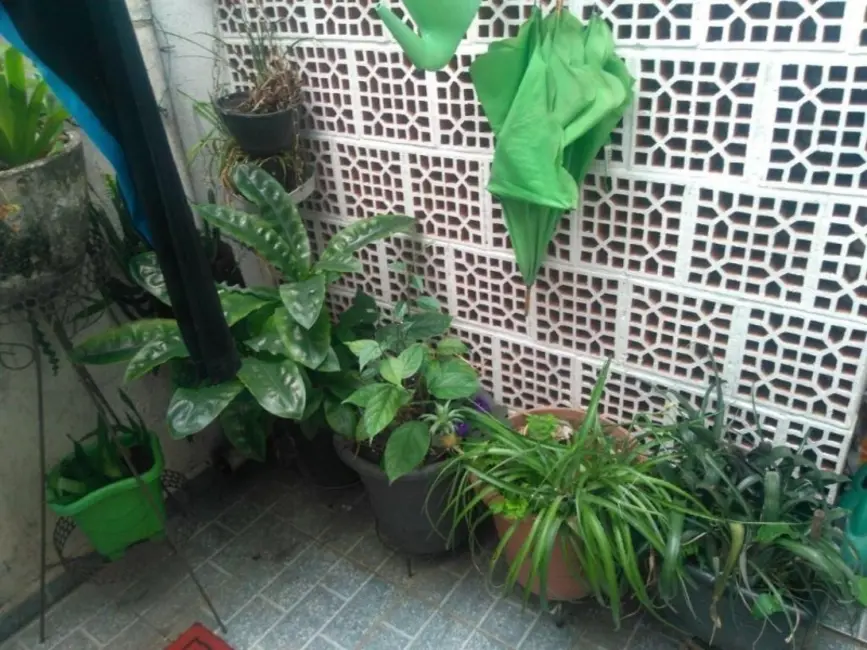 Sobrado com 5 quartos à venda, 180m2 em Vila Roque, São Paulo - SP - imagem 1 Foto 1 de Sobrado com 5 quartos à venda, 180m2 em Vila Roque, São Paulo - SP