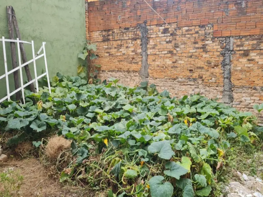 Casa de Condomínio com 3 quartos à venda, 340m2 em Parque São Lucas, São Paulo - SP - imagem 3 Foto 3 de Casa de Condomínio com 3 quartos à venda, 340m2 em Parque São Lucas, São Paulo - SP