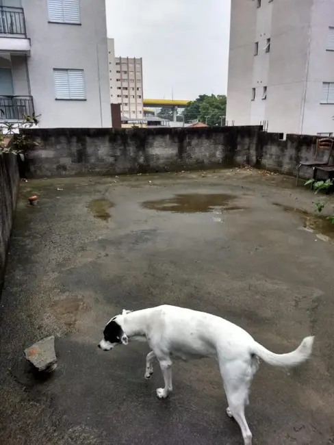 Foto 7 de Casa de Condomínio com 2 quartos à venda, 270m2 em Ipiranga, São Paulo - SP