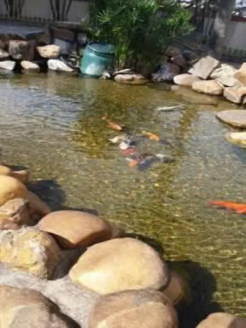 Apartamento com 2 quartos à venda, 52m2 em Pirituba, São Paulo - SP - imagem 2 Foto 2 de Apartamento com 2 quartos à venda, 52m2 em Pirituba, São Paulo - SP